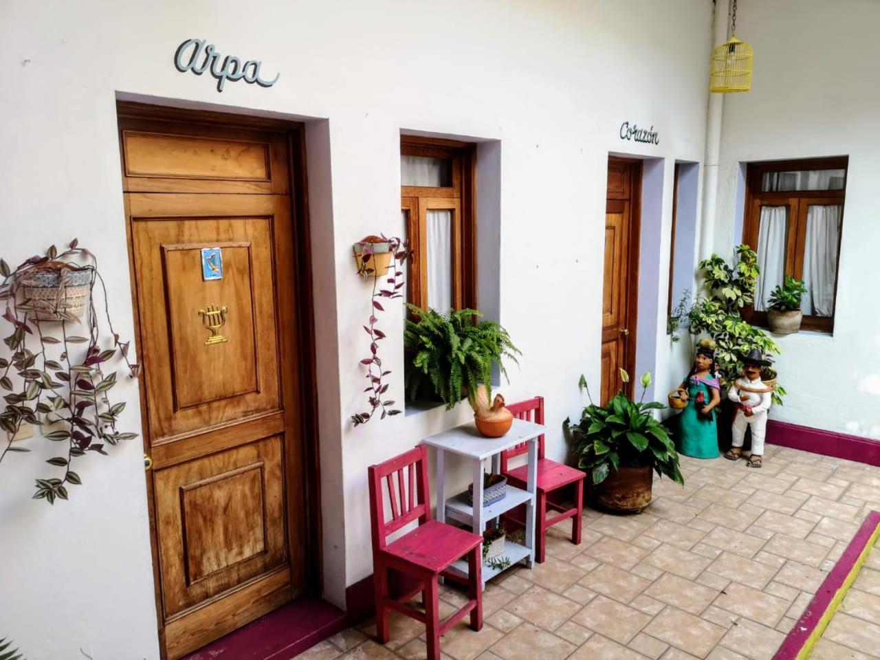 El Diablo Y La Sandia B&B Oaxaca Exteriör bild