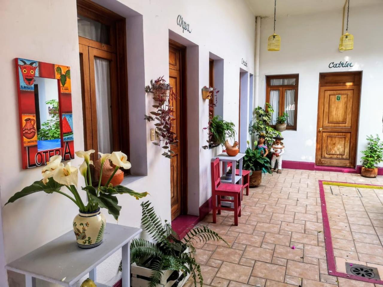El Diablo Y La Sandia B&B Oaxaca Exteriör bild